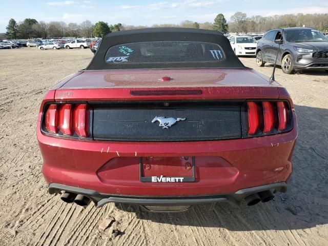 2019 Ford Mustang