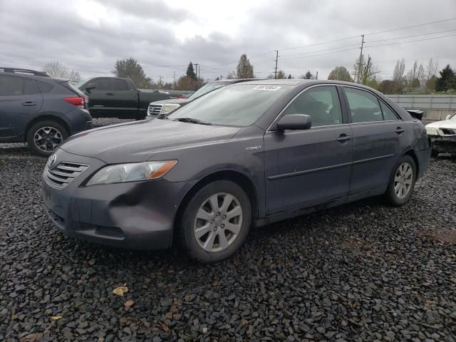 2009 Toyota Camry Hybrid