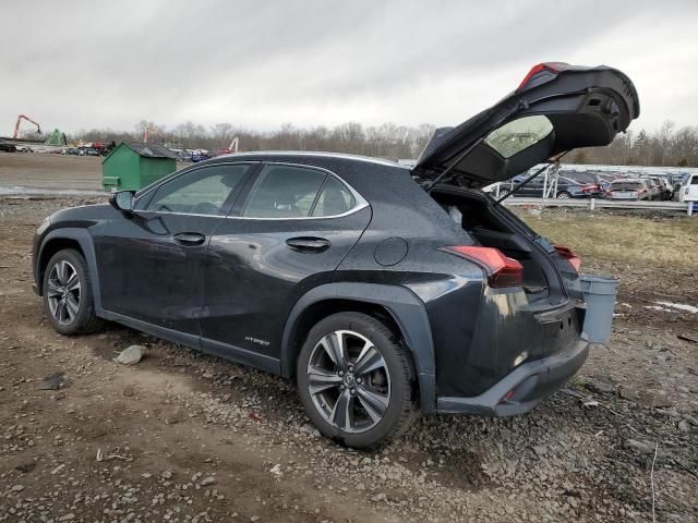 2020 Lexus UX 250H