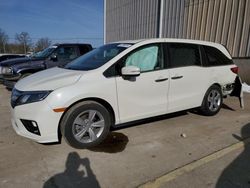 Honda salvage cars for sale: 2019 Honda Odyssey EXL