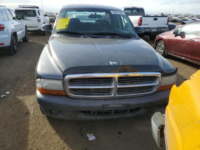 2004 Dodge Dakota Quad Sport