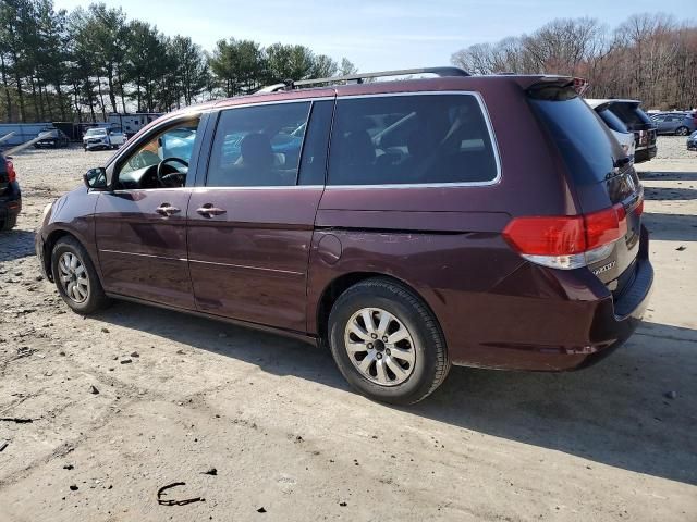 2010 Honda Odyssey EXL