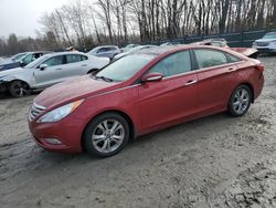 Salvage cars for sale at Candia, NH auction: 2012 Hyundai Sonata SE