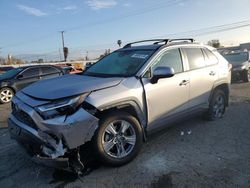 Salvage cars for sale from Copart Colton, CA: 2023 Toyota Rav4 XLE