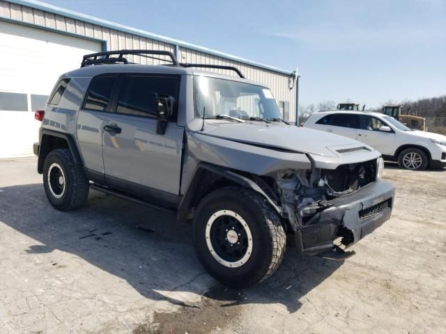 2013 Toyota FJ Cruiser