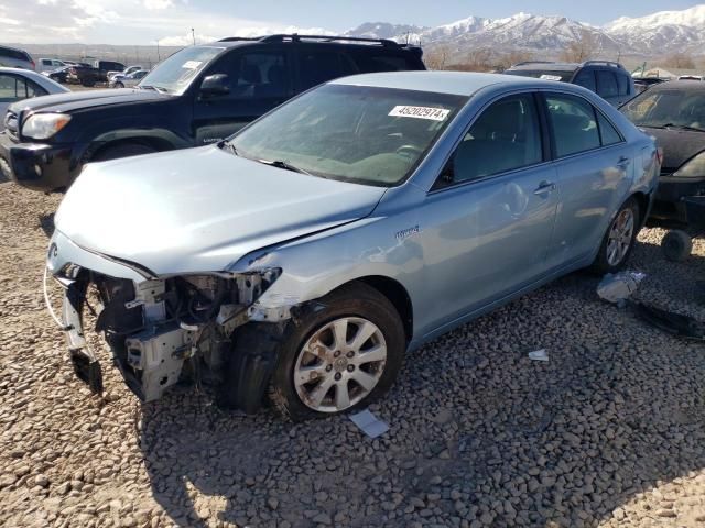 2009 Toyota Camry Hybrid