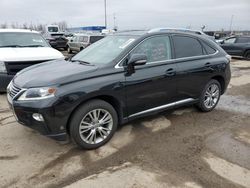 Lexus RX 350 Base salvage cars for sale: 2013 Lexus RX 350 Base