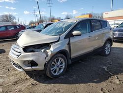 Salvage cars for sale at auction: 2017 Ford Escape SE