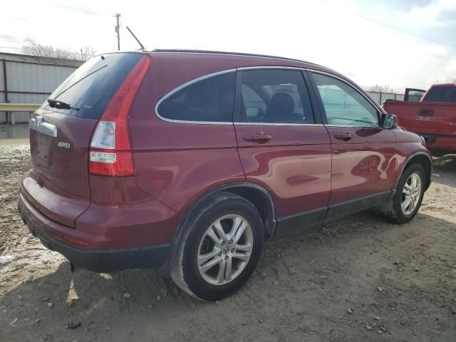 2010 Honda CR-V EXL