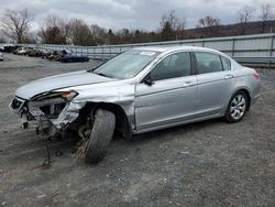 Salvage cars for sale from Copart Grantville, PA: 2009 Honda Accord EX