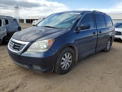 Salvage cars for sale from Copart Phoenix, AZ: 2009 Honda Odyssey EX