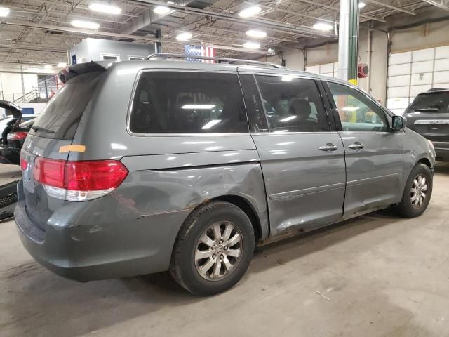 2008 Honda Odyssey EXL