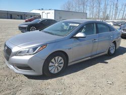 2016 Hyundai Sonata Hybrid for sale in Arlington, WA