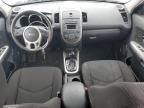 2012 KIA Soul +