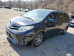 Toyota Sienna XLE salvage cars for sale: 2019 Toyota Sienna XLE