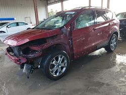 Ford Escape SEL salvage cars for sale: 2013 Ford Escape SEL