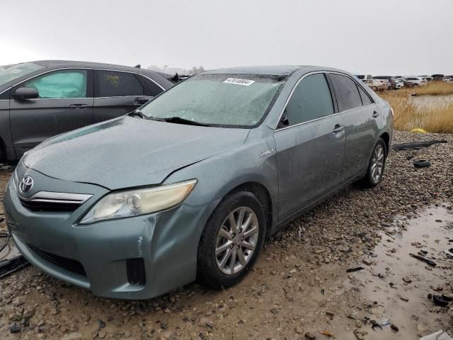 2011 Toyota Camry Hybrid