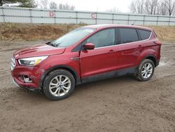 Ford Escape SE salvage cars for sale: 2019 Ford Escape SE