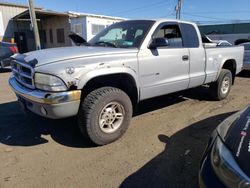 Salvage trucks for sale at New Britain, CT auction: 1999 Dodge Dakota