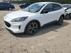 Ford Escape SE salvage cars for sale: 2021 Ford Escape SE