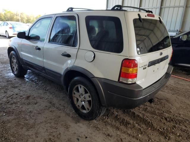 2004 Ford Escape XLT