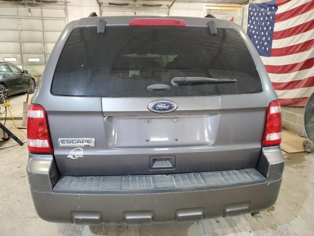 2011 Ford Escape XLT