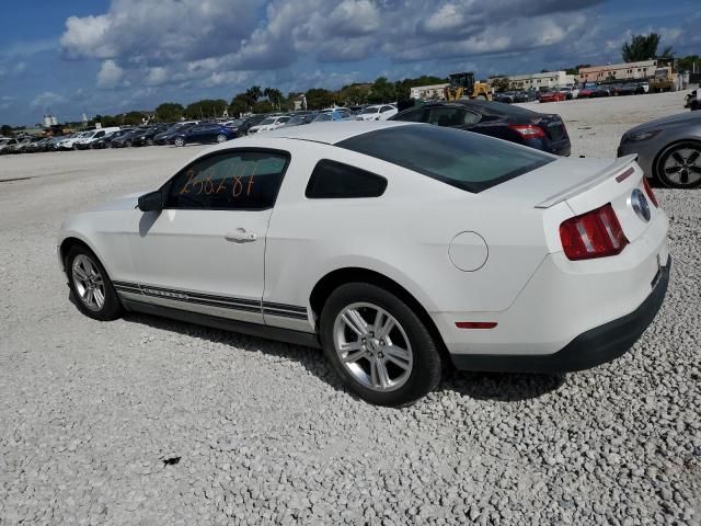 2010 Ford Mustang