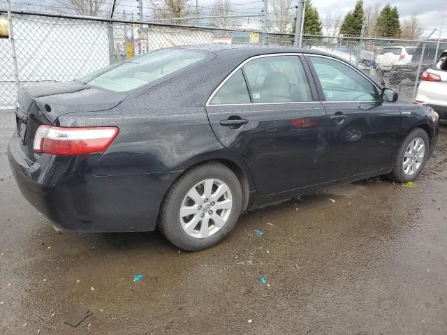 2009 Toyota Camry Hybrid