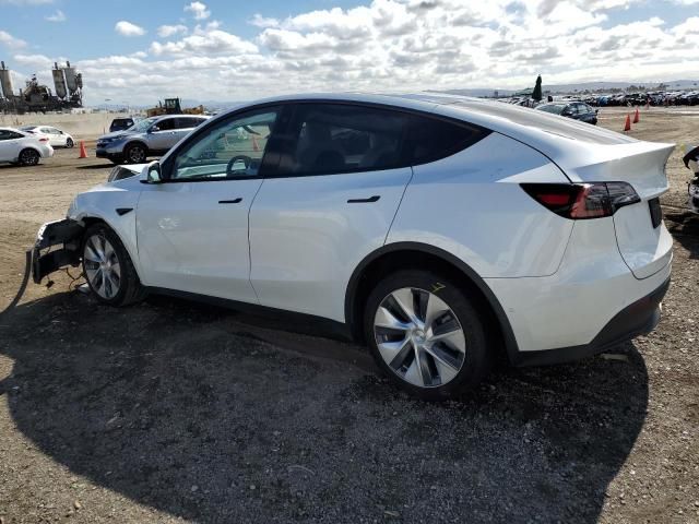 2020 Tesla Model Y