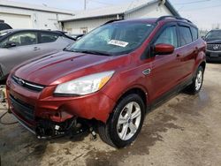 Ford Escape SE salvage cars for sale: 2014 Ford Escape SE