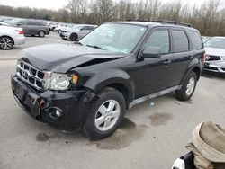 Salvage cars for sale at Glassboro, NJ auction: 2010 Ford Escape XLT