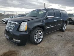 Cadillac Escalade salvage cars for sale: 2010 Cadillac Escalade ESV Platinum