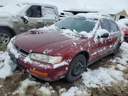 Salvage cars for sale from Copart Brighton, CO: 1996 Honda Accord LX
