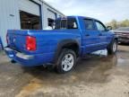 2007 Dodge Dakota Quad SLT