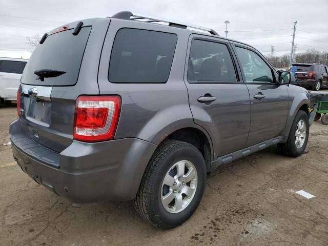 2010 Ford Escape Limited