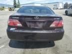 2004 Lexus ES 330