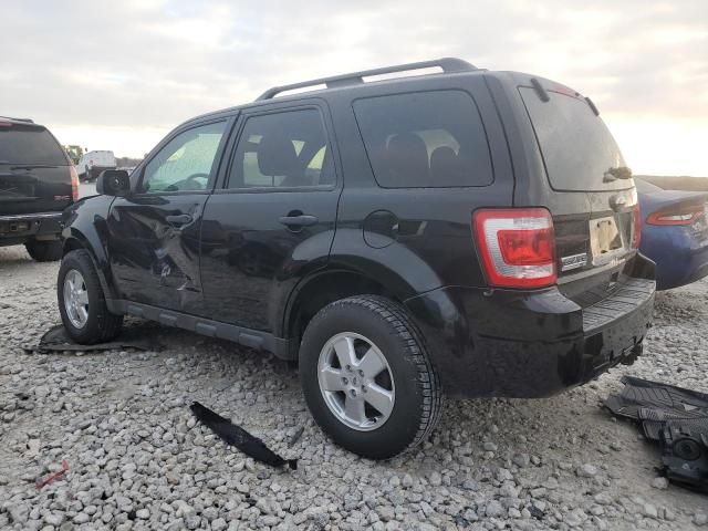 2012 Ford Escape XLT