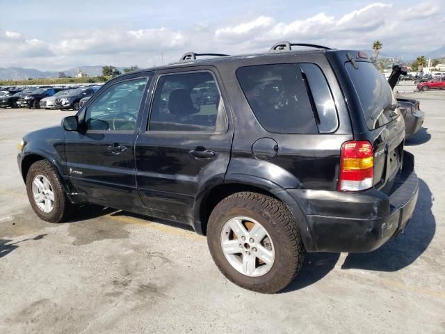 2006 Ford Escape HEV