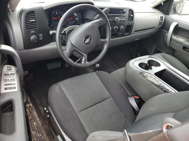 2010 Chevrolet Silverado K1500 LS