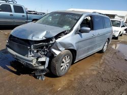 2009 Honda Odyssey EXL for sale in Brighton, CO