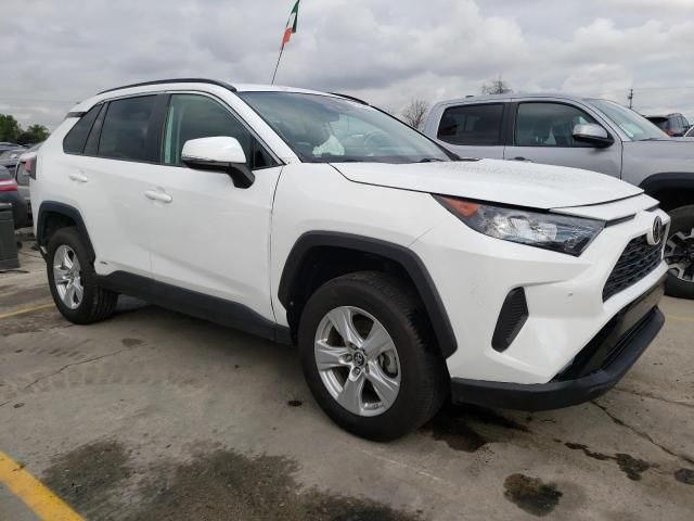 2019 Toyota Rav4 LE