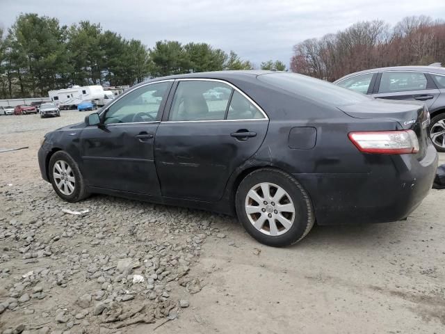 2010 Toyota Camry Hybrid