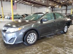 Salvage cars for sale from Copart Jacksonville, FL: 2013 Toyota Camry L