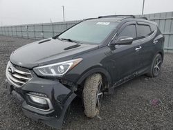 Hyundai Santa FE salvage cars for sale: 2017 Hyundai Santa FE Sport