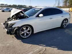 Nissan salvage cars for sale: 2013 Nissan Maxima S