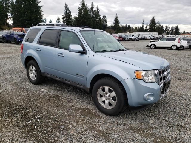 2009 Ford Escape Hybrid