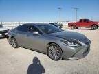 2021 Lexus ES 300H