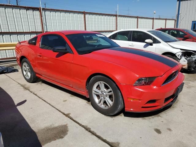 2013 Ford Mustang