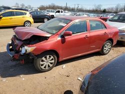 Salvage cars for sale from Copart Hillsborough, NJ: 2009 Toyota Corolla Base