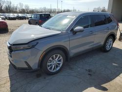 Salvage cars for sale at Fort Wayne, IN auction: 2024 Honda CR-V EXL